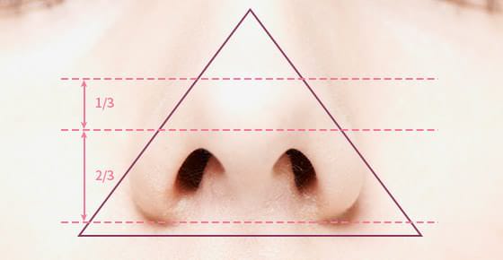 Thẩm mỹ nâng mũi cân nhắc đến từng tỷ lệ, vị trí của phần đầu mũi lý tưởng nhất